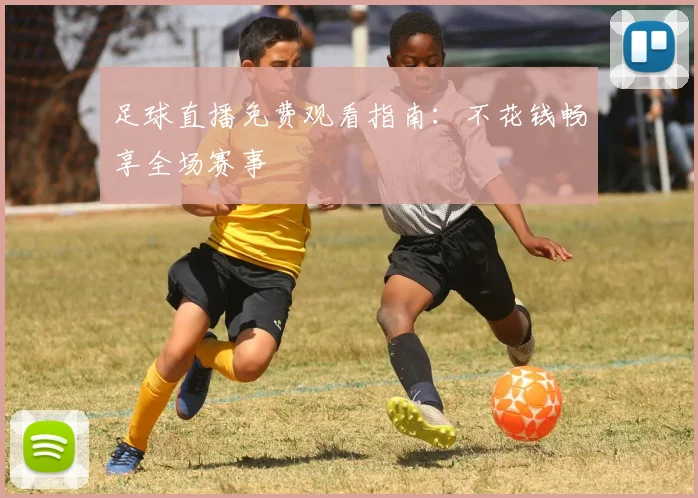 足球直播免费观看指南：不花钱畅享全场赛事
